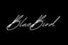 BlueBird Marine Gelcoat & Fiberglass logo