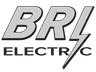 Bri Electric logo