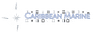 Caribbean Marine logo