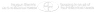 Raygun Electric logo