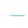 Land to Lake Mobile Detailing logo