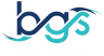 BGS Marine Sales logo