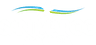 San Marco Marina logo