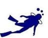Channel Islands Diving Service logo