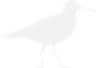 Sandpiper Lodging at the Beach logo