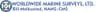 Worldwide Marine Surveys logo