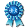 Blue Ribbon Fiberglass Repair logo