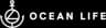 Ocean Life Yacht Services logo