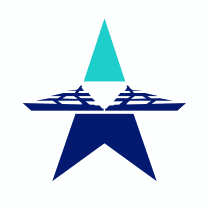 Bluestar Marine logo
