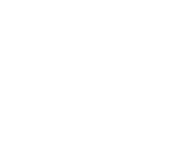 O'Neill's Marina and Tidewater Boat Sales logo